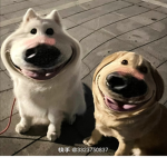 华人组