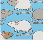 The rats U3U