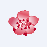 China Southern | CSA