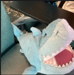 Sharky squad.11