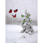 Riley's Christmas Time Butterfly's