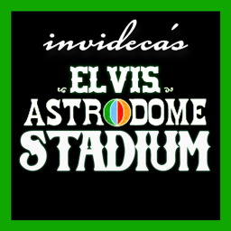 The Houston Astrodome