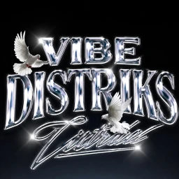 VIBE DISTRICTS icon