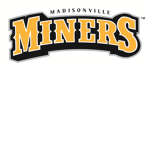 Miner_Raids