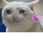 #My computer is broken guys Lol XD