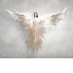 ~Crown Angels~