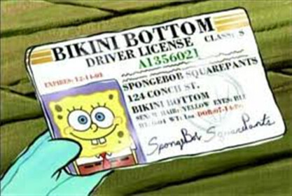 Driving Test (READ DESC)