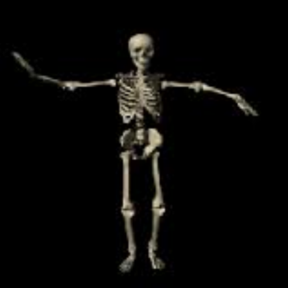 Spooky scary skeletons Roblox decal