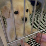 717