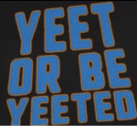 yeeting is cool