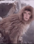 The Jungle of Glorp