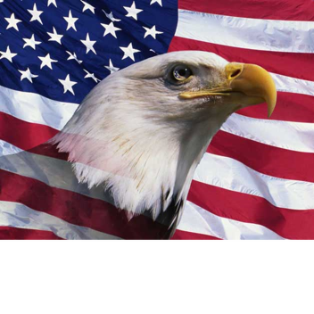 Patriot Tops