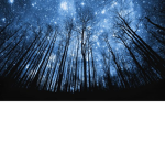 Midnight Sky