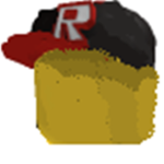 RobloxSmarts fan group