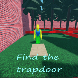 Find the trapdoor