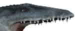 Archosaur Rampage