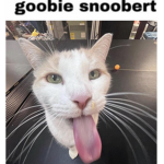 GOOBER GUILD