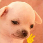 TheGoldBrick's Donation Group