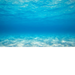 peaceful water