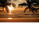 Shimmer Beach