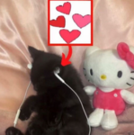 softwhispersz