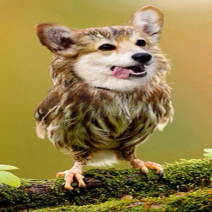 Funny Animal Hybrid 3 Roblox decal