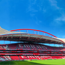 Benfica Stadium