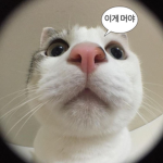 Jx_w0n