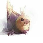 the brids of the nest
