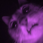 YXKdylx