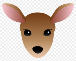 The Pack Network