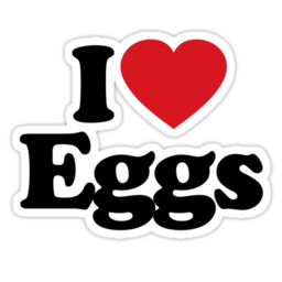 The Egg-Citing Race!