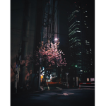 withered away
