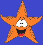 StarFish Studio !