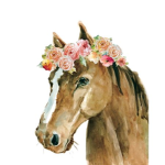 Floral Reins Private Riding Academy
