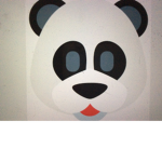 Noah And The Awesome Pandas