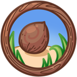 Nuts For Coconuts