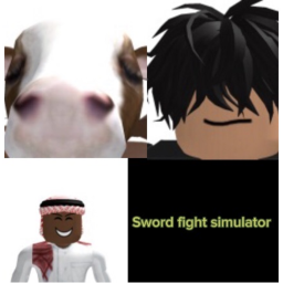 sword fight simulator