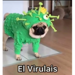 Mejores amigos los quiero mucho amigos