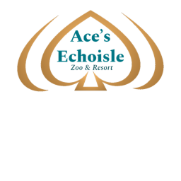 Echoisles - Zoo and Resort RP