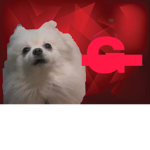 Gabe Nation E