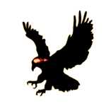 Night firehawk