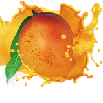 Mango Squad!