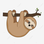 The Sleepy Sloths!