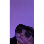 JSP moi wesh