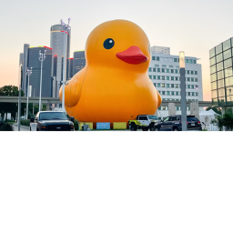 ducky racing