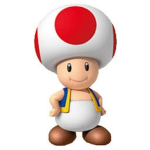 Mushroom Members