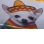 Hola Senor