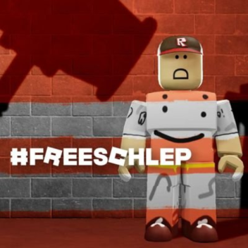 Support For Schlep