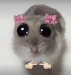 SmasheKartoffel